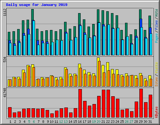 Daily usage for January 2019