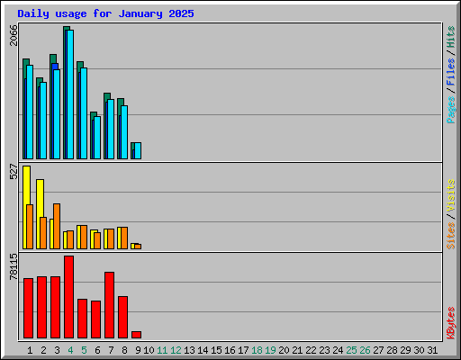 Daily usage for January 2025