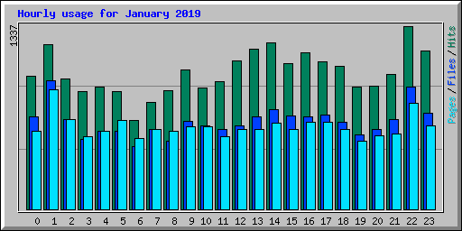 Hourly usage for January 2019