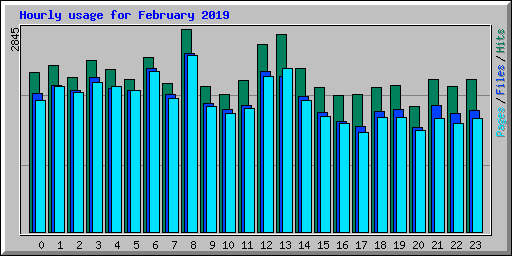 Hourly usage for February 2019