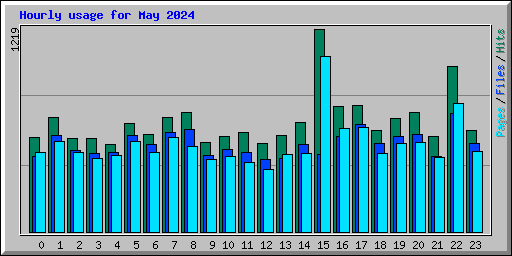 Hourly usage for May 2024