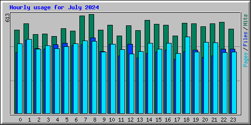 Hourly usage for July 2024