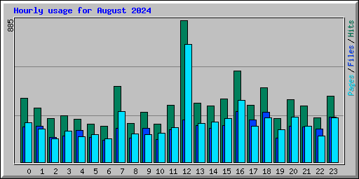 Hourly usage for August 2024