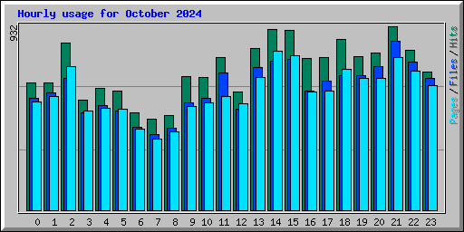 Hourly usage for October 2024