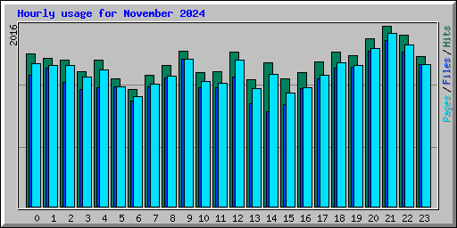 Hourly usage for November 2024