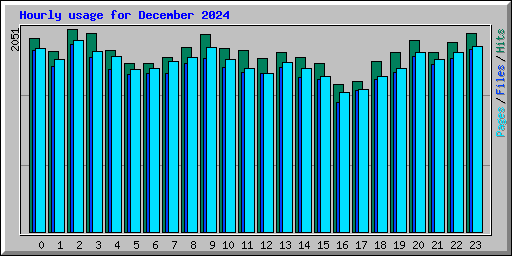 Hourly usage for December 2024