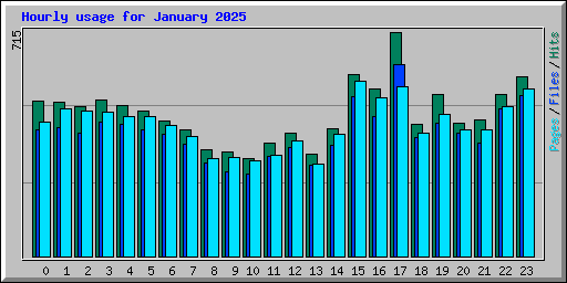 Hourly usage for January 2025